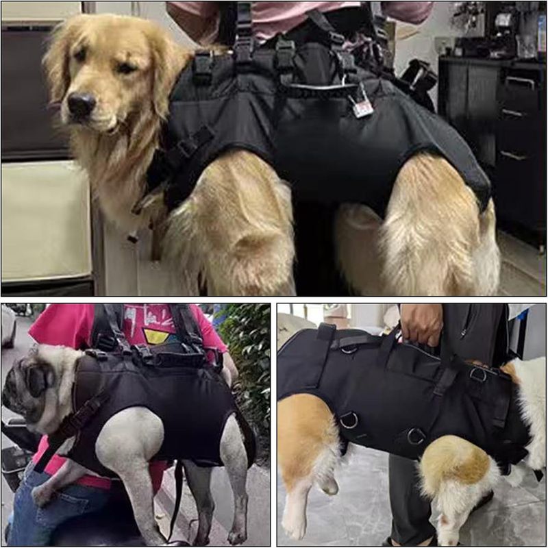 Pawzy Sac à dos multifonction pour chien en sortie