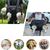 Pawzy Sac à dos multifonction pour chien en sortie