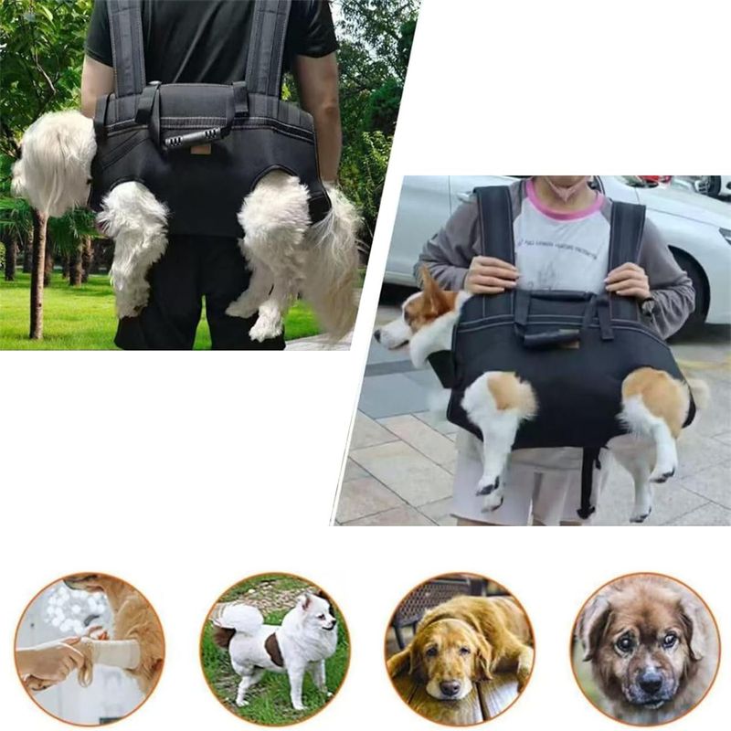 Pawzy Sac à dos multifonction pour chien en sortie