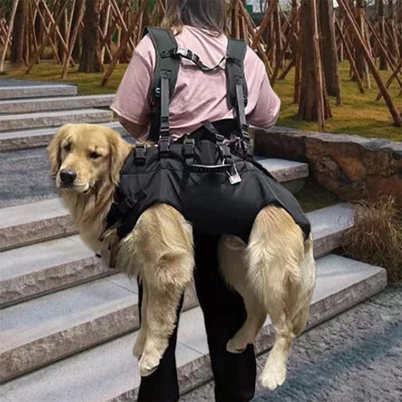 Pawzy Sac à dos multifonction pour chien en sortie