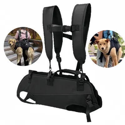 Pawzy Sac à dos multifonction pour chien en sortie