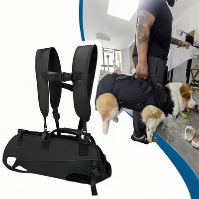 Pawzy Sac à dos multifonction pour chien en sortie