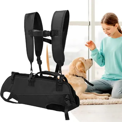 Pawzy Sac à dos multifonction pour chien en sortie