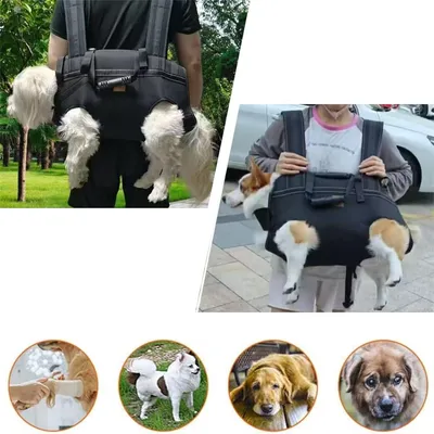 Pawzy Sac à dos multifonction pour chien en sortie