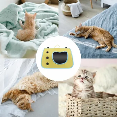 Pawzy Sac à chat portatif et pliable