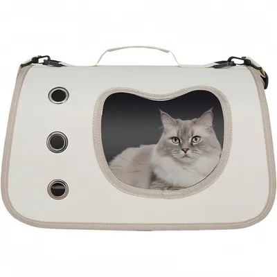 Pawzy Sac à chat portatif et pliable