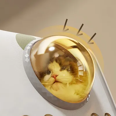 Pawzy Sac à dos pour animal pour chats