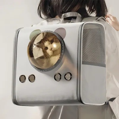 Pawzy Sac à dos pour animal pour chats
