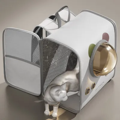 Pawzy Sac à dos pour animal pour chats