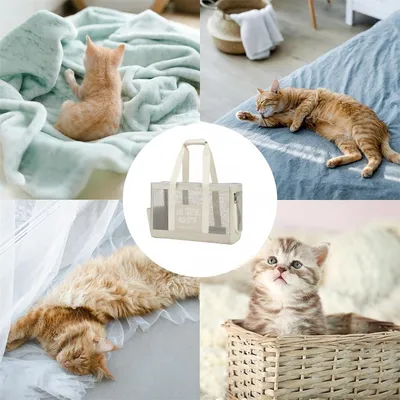 Pawzy Sac à chat respirant pour l'été