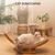 Pawzy Griffoir 2-en-1 chat - Carton durable & aire de jeu