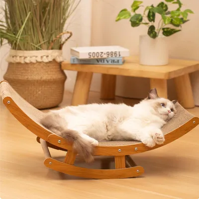 Pawzy Griffoir 2-en-1 chat - Carton durable & aire de jeu