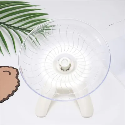 Pawzy Roue d'exercice pour petits animaux