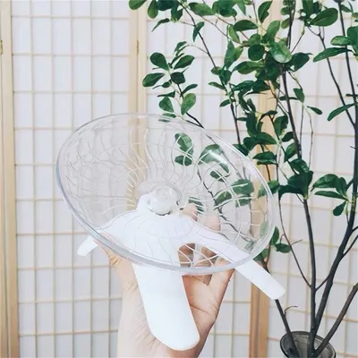 Pawzy Roue d'exercice pour petits animaux