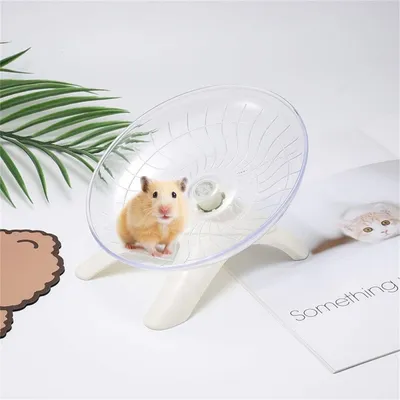 Pawzy Roue d'exercice pour petits animaux