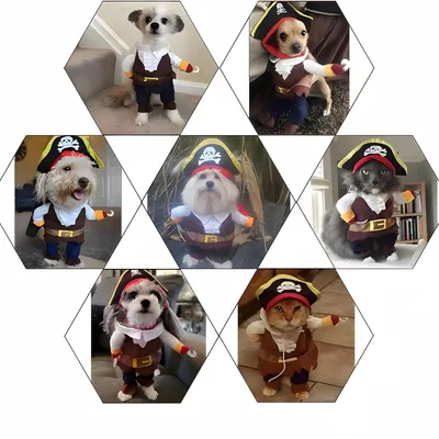 Pawzy Costume de pirate pour animal de compagnie