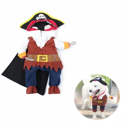 Pawzy Costume de pirate pour animal de compagnie