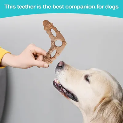 Pawzy Juguete masticable para perros pequeños agresivos