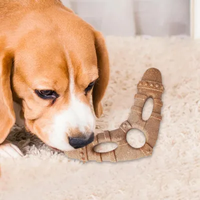 Pawzy Juguete masticable para perros pequeños agresivos