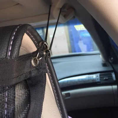 Pawzy Filet de sécurité pour voiture pour chats et chiens