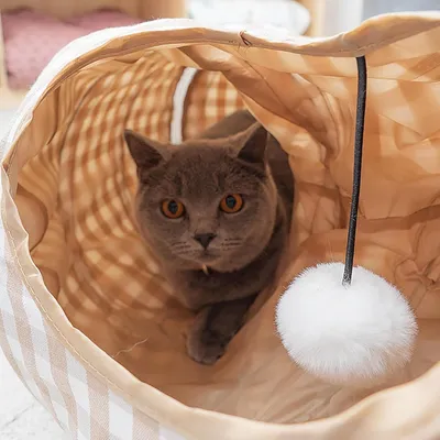 Pawzy Cama túnel para gatos - Donut suave con 2 entradas