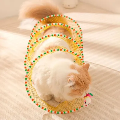 Pawzy Tunnel Pliable – Jouet pour Chat