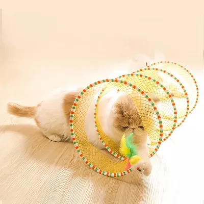 Pawzy Tunnel Pliable – Jouet pour Chat