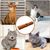 Pawzy Jouet tunnel pour chat - Durable avec trous stimulants