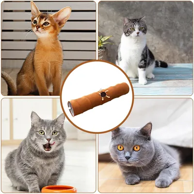 Pawzy Jouet tunnel pour chat - Durable avec trous stimulants