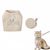 Pawzy Laisse et harnais pour chat