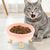 Pawzy Gamelle inclinée donut pour chat - Anti-refoulement & antidérapante