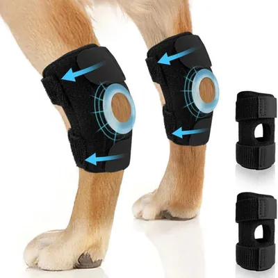 Pawzy Protections pour pattes arrière de chien