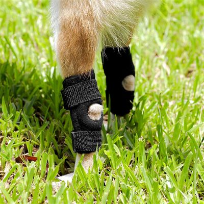 Pawzy Protections pour pattes arrière de chien