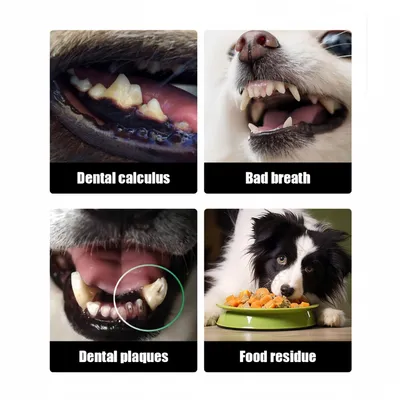 Pawzy Gel dentaire avec brosse pour chiot et chaton