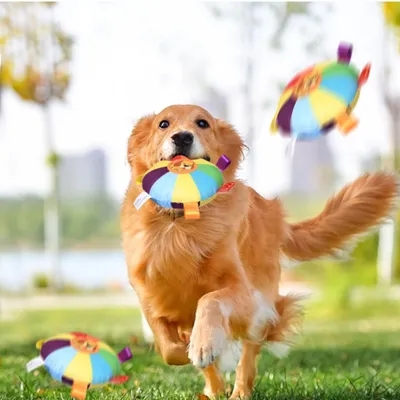 Pawzy Jouet à mâcher résistant - Disque volant pour chien