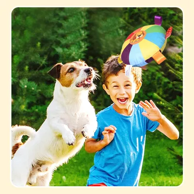 Pawzy Jouet à mâcher résistant - Disque volant pour chien