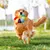 Pawzy Jouet à mâcher résistant - Disque volant pour chien