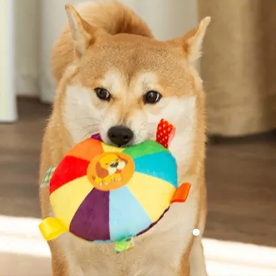 Pawzy Jouet à mâcher résistant - Disque volant pour chien