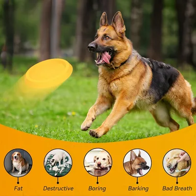 Pawzy Disque à lancer pour chien