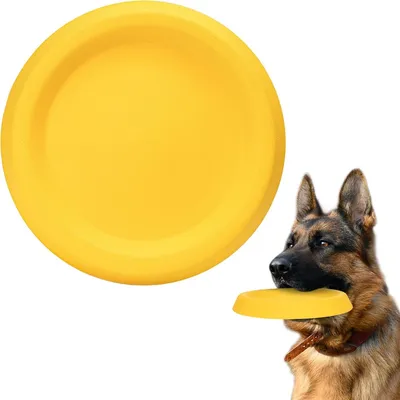 Pawzy Disque à lancer pour chien