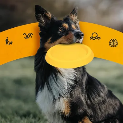 Pawzy Disque à lancer pour chien