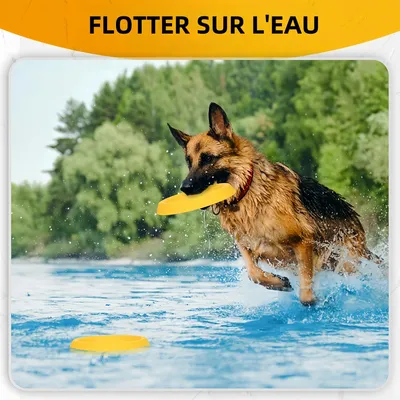 Pawzy Disque à lancer pour chien