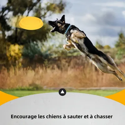 Pawzy Disque à lancer pour chien
