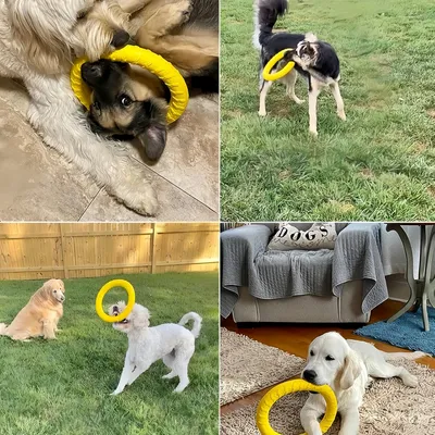 Pawzy Anneau de traction pour jouet pour chien