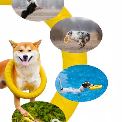 Pawzy Anneau de traction pour jouet pour chien