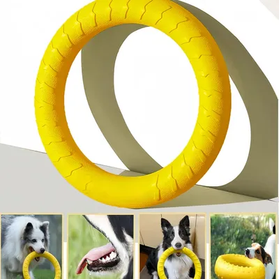 Pawzy Anneau de traction pour jouet pour chien