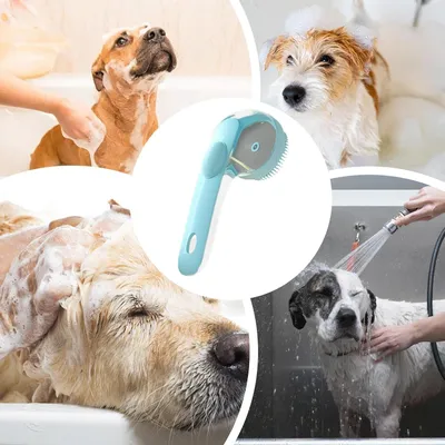 Pawzy Brosse toilettage longue - Pour bain et massage canin