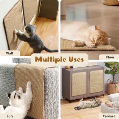 Pawzy Griffoir d'intérieur - Tapis sol pour chats 50x30cm