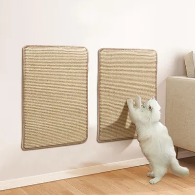 Pawzy Rascador de interior - Alfombrilla para gatos de 50x30 cm