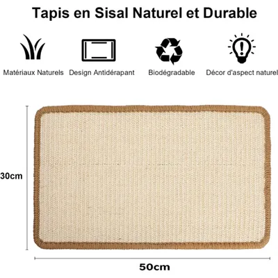 Pawzy Griffoir d'intérieur - Tapis sol pour chats 50x30cm